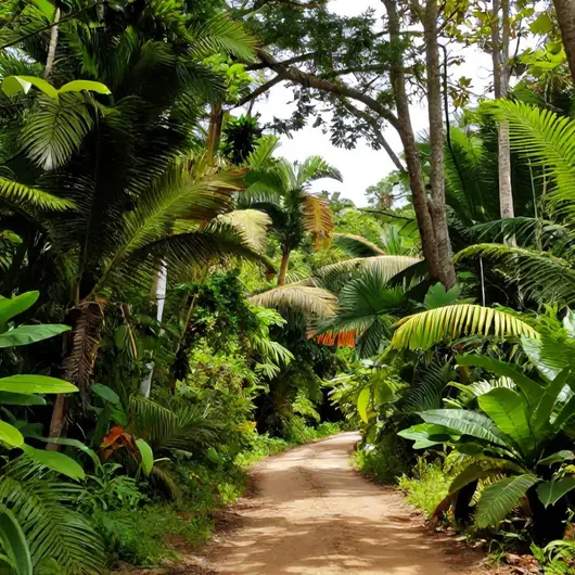Aruá Observação de vida Silvestre: Um Paraíso para os Amantes da Natureza