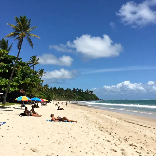 As melhores praias da Bahia: conheça a Praia do Forte