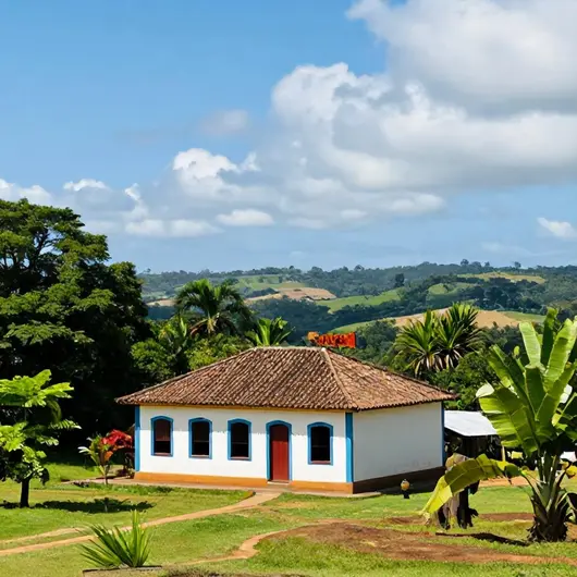 Descubra a Casa do Morro