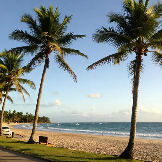 Descubra a Praia do Forte Descubra a Praia do Forte