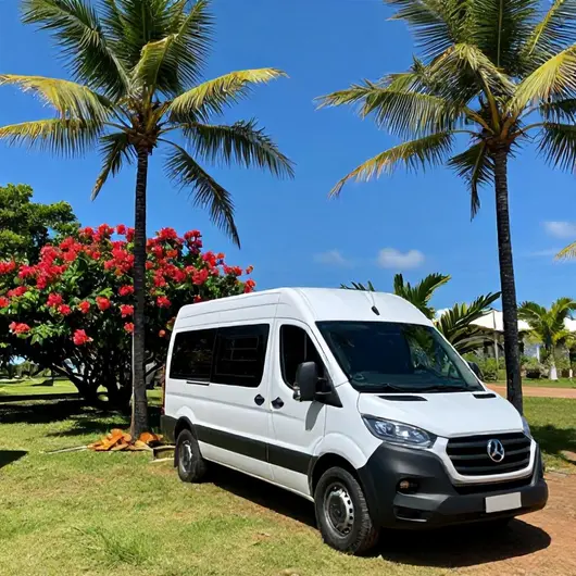 Descubra a VaideVan: Seu Guia para Aluguel de Vans na Bahia