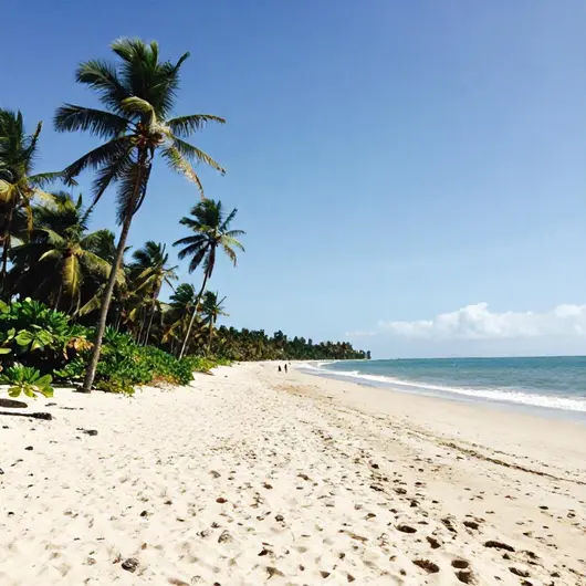Descubra Mangamar: Belezas e Atrações de um Paraíso Baiano