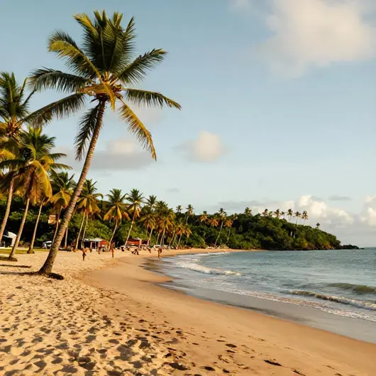 Descubra Muzuá Bahia: Um Destino Imperdível