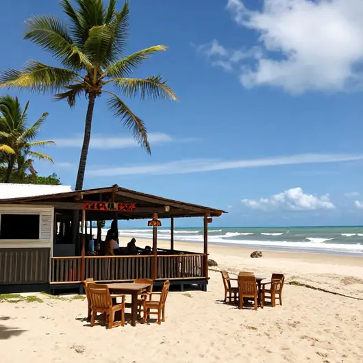 Descubra o Barracuda Beach Bar Descubra o Barracuda Beach Bar