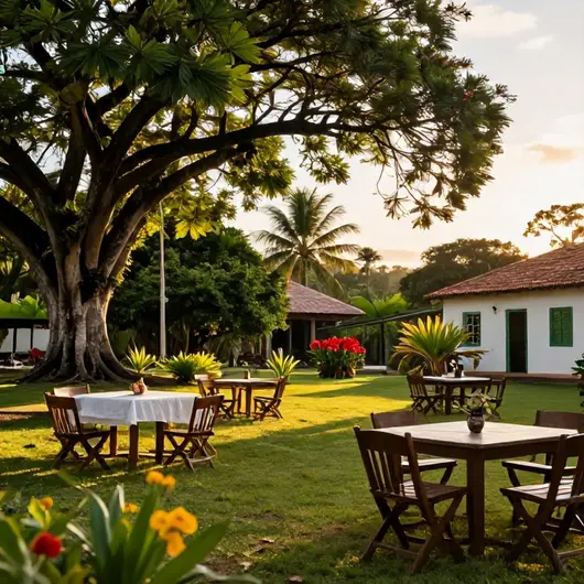 Descubra o Grupo Odo: Uma Experiência de Turismo Inesquecível