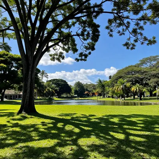 Descubra o Parque Metropolitano de Pituaçu