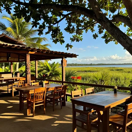 Descubra o Restaurante Manguezal na Bahia